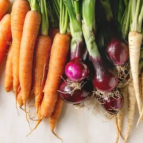 Stockfoto van verschillende groenten - wortel, ui, pastinaak