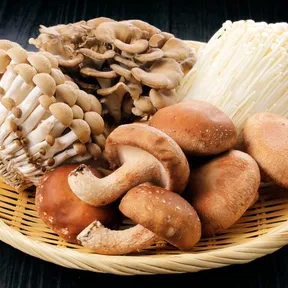 Stockfoto van verschillende paddenstoelen